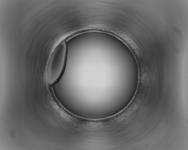 X0000112470888200908170948