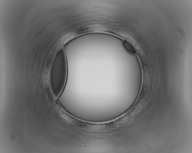 X0000112470889200908170948