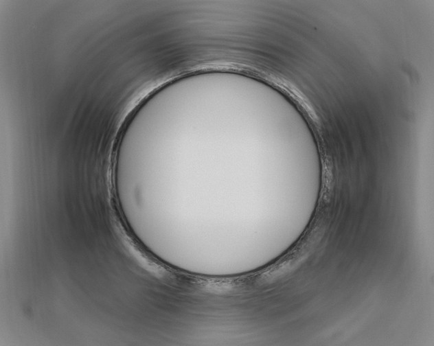 X0000112470890200908170948