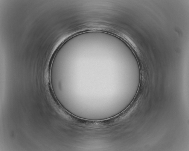 X0000112470891200908170948