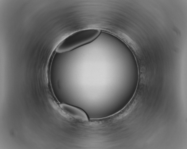 X0000112470892200908170948