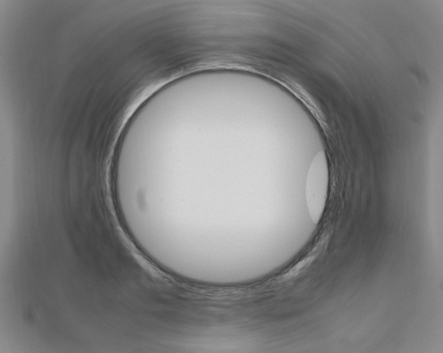 X0000112470893200908170948