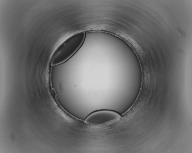 X0000112470894200908170948
