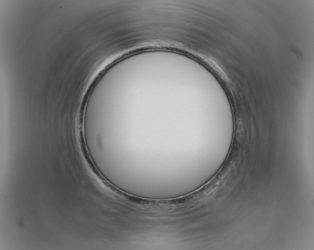 X0000112470895200908170948