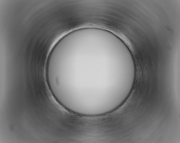 X0000112470896200908170948