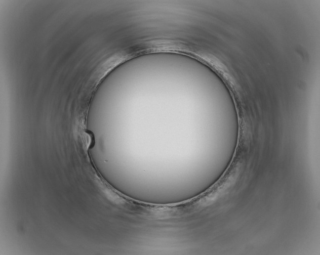 X0000112470897200908170948