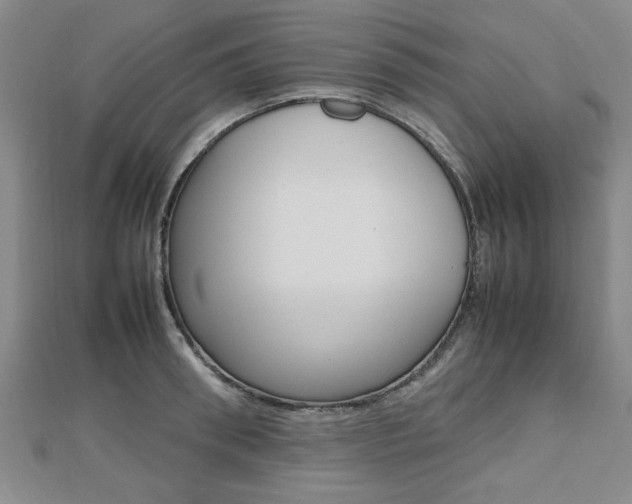 X0000112470898200908170948