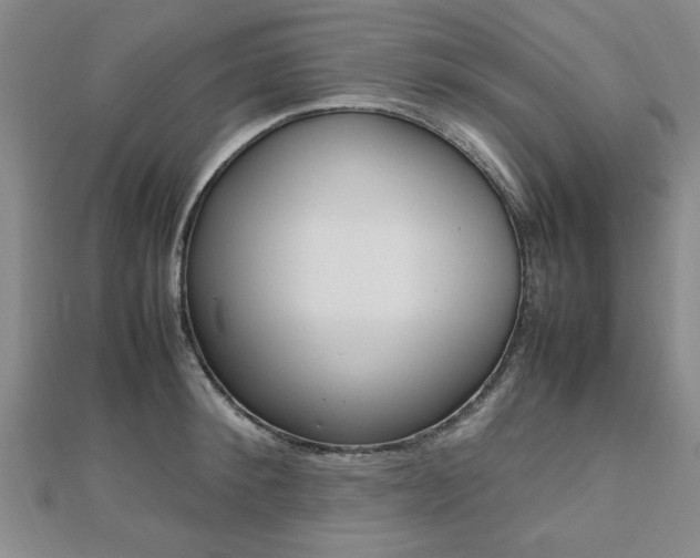 X0000112470900200908170948