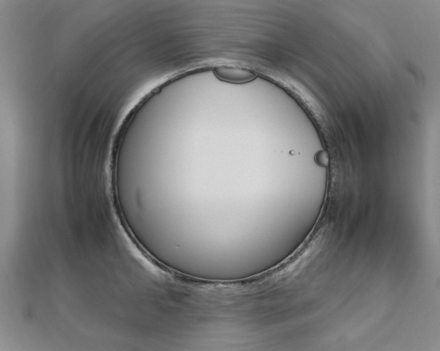 X0000112470902200908170948