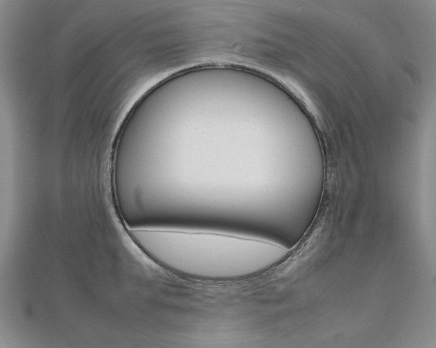 X0000112470903200908170948
