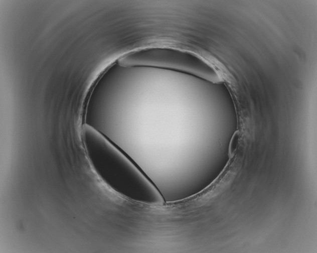 X0000112470904200908170948