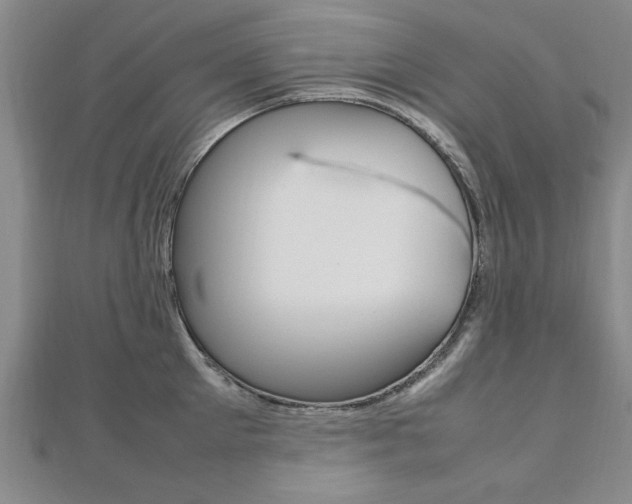 X0000112470905200908170948