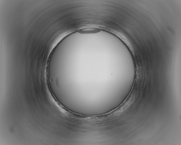 X0000112470906200908170948