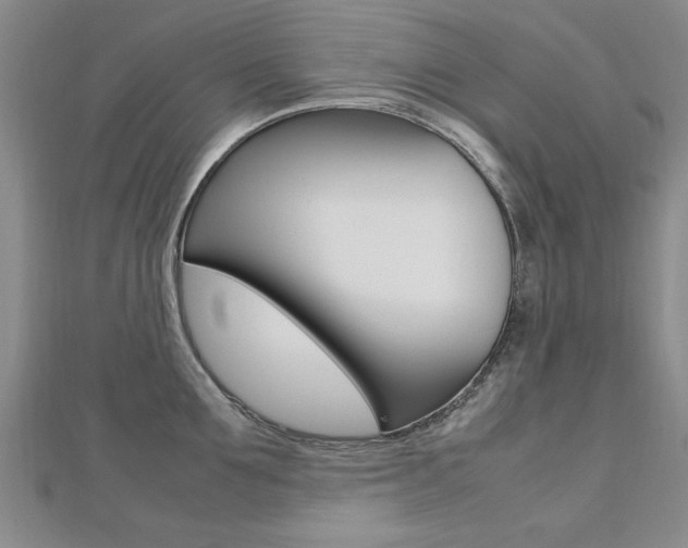X0000112470907200908170948