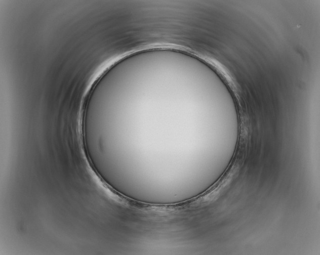 X0000112470910200908170948
