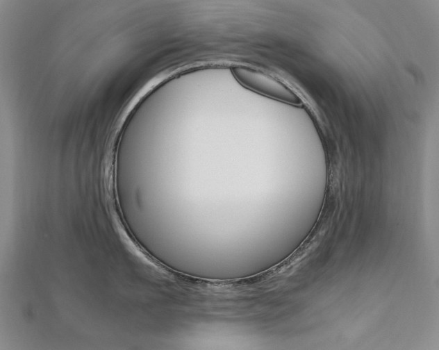 X0000112470911200908170948