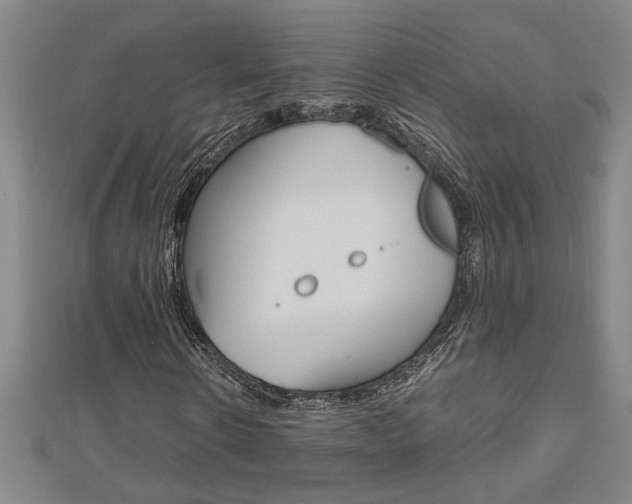 X0000112470914200908170947