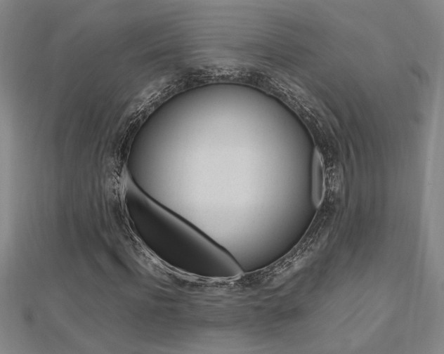 X0000112470916200908170947