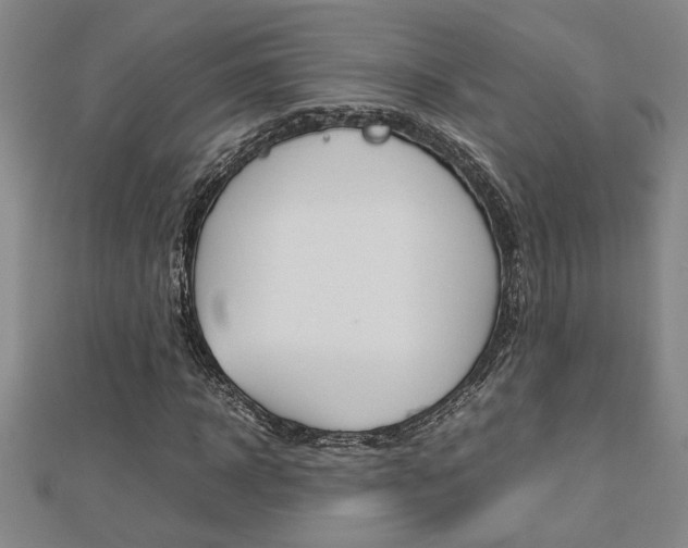 X0000112470918200908170947