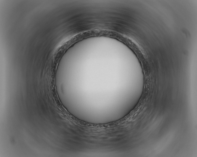 X0000112470919200908170947