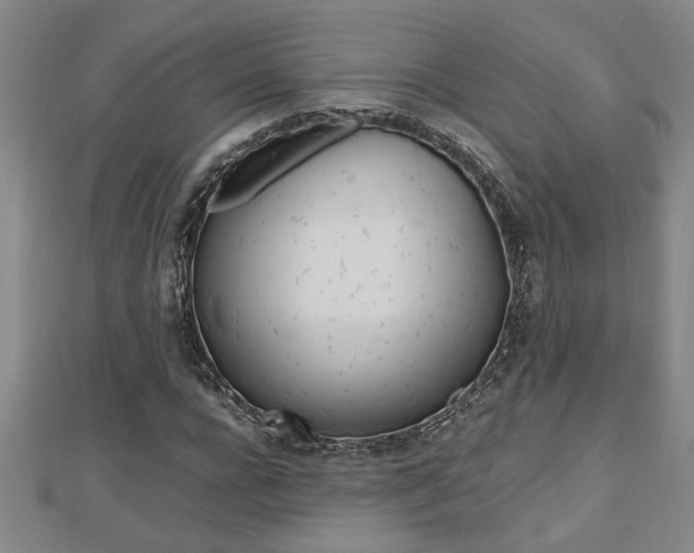 X0000112470920200908170947