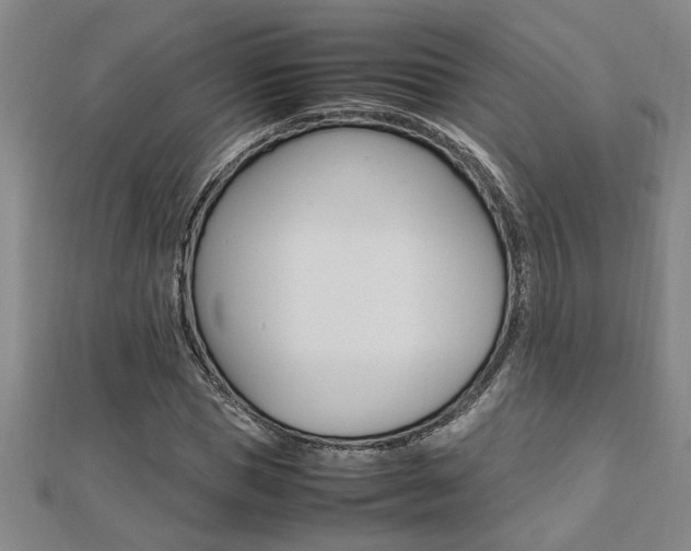 X0000112470921200908170947