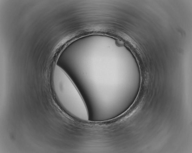X0000112470922200908170947