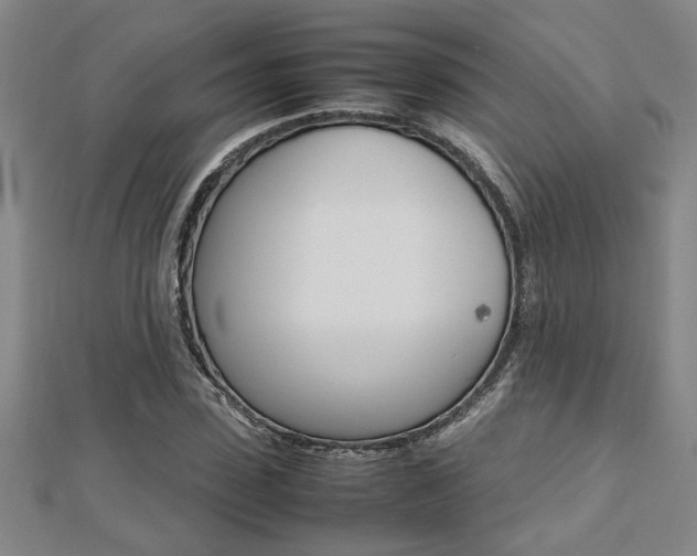 X0000112470923200908170947