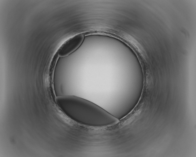 X0000112470924200908170947