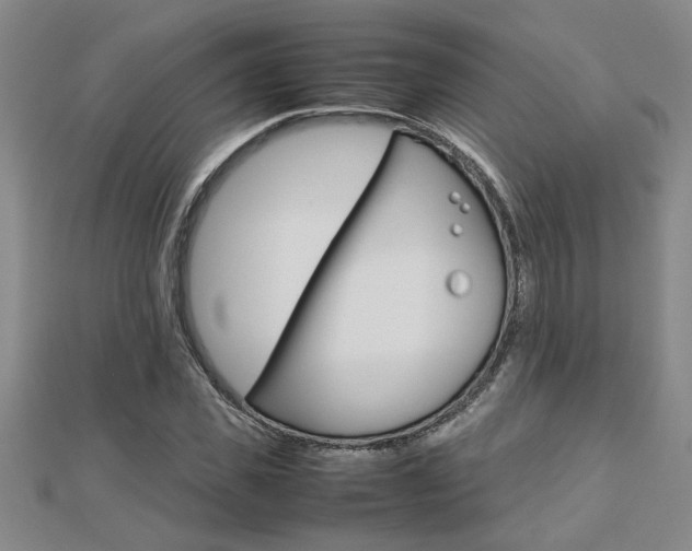 X0000112470925200908170947