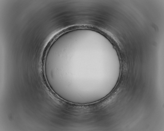 X0000112470927200908170947