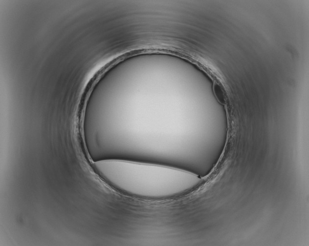 X0000112470928200908170947