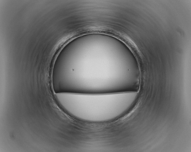 X0000112470930200908170947