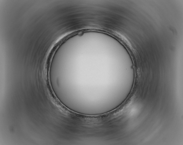 X0000112470931200908170947