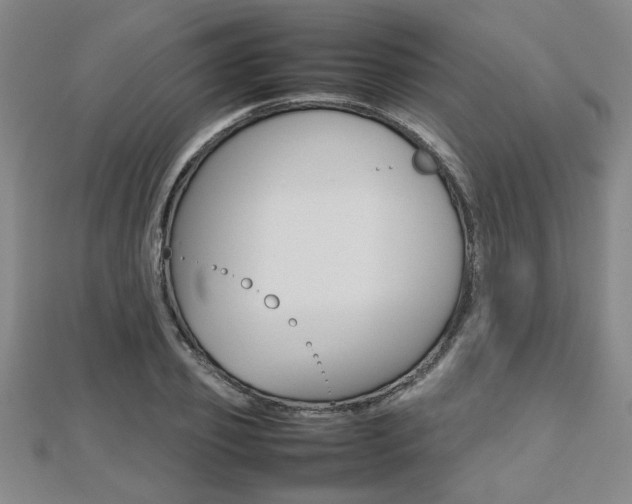 X0000112470933200908170947