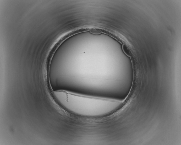 X0000112470934200908170947