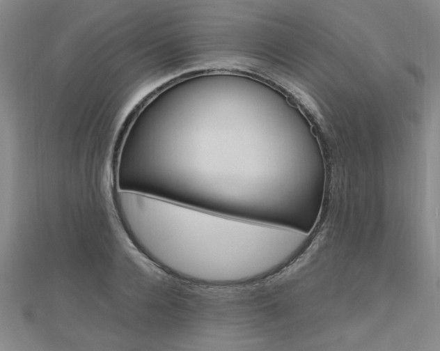 X0000112470936200908170947
