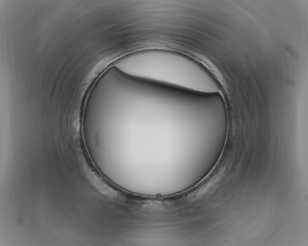 X0000112470938200908170947