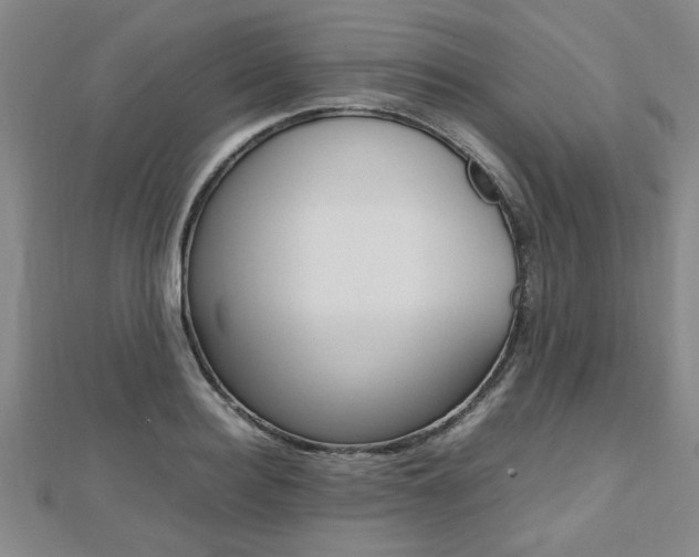 X0000112470940200908170947