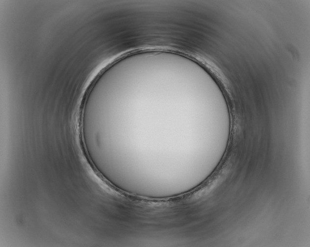 X0000112470941200908170948