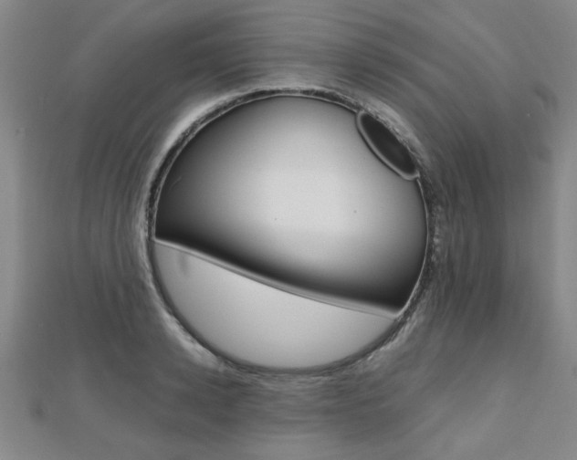X0000112470942200908170948
