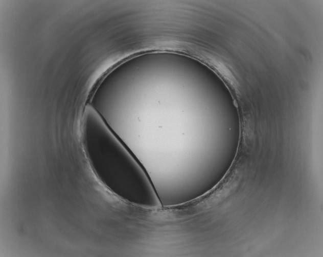 X0000112470944200908170948