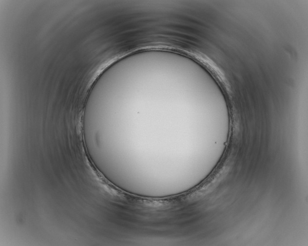 X0000112470945200908170948