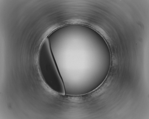 X0000112470946200908170948