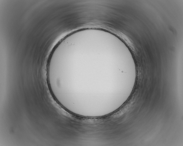 X0000112470950200908170948