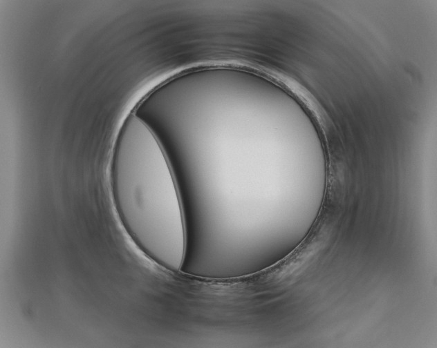 X0000112470951200908170948