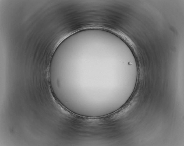 X0000112470953200908170948