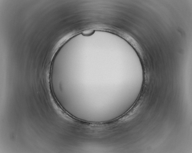 X0000112470954200908170948