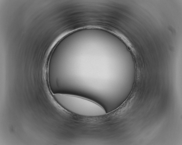 X0000112470955200908170948