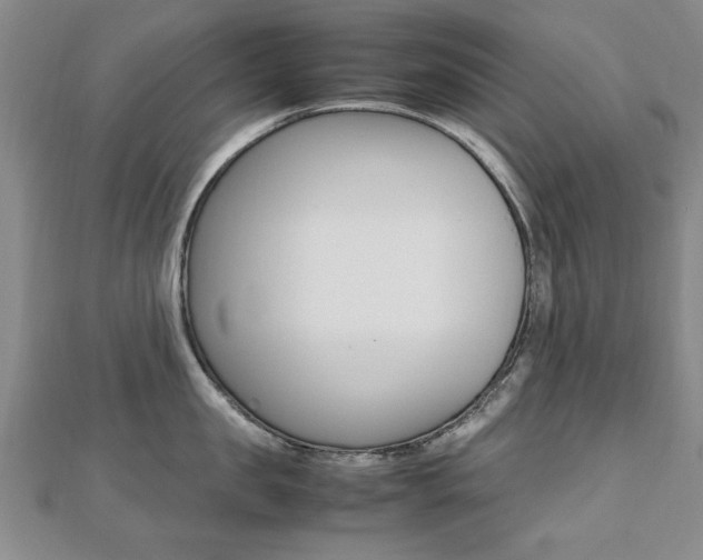 X0000112470957200908170948